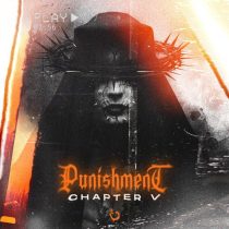 Chapter V – Punishment