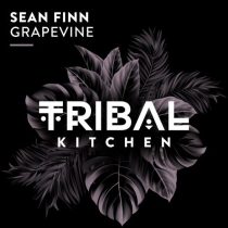Sean Finn – Grapevine