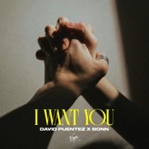David Puentez & Bonn – I Want You (Extended Mix)
