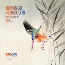 Loveclub & Domingo + – Just Waking Up