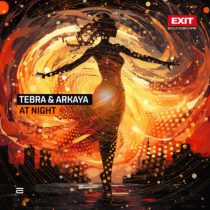 Tebra & Arkaya – At Night (Extended Mix)
