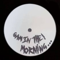 Nate Dogg & Flex (UK) – 6 In the Morning (Extended)