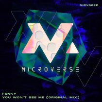 Fenky – You Won’t See Me (Original Mix)