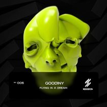 Goodiny – Flying in a dream