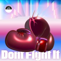 Biesmans – Don’t Fight It