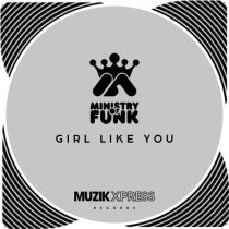 Ministry Of Funk – Girl Like You (Nu Soul Disco Mix)