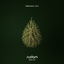 VA – Organic XIII
