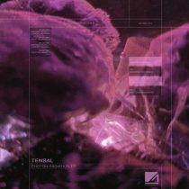 Tensal – Photon Radiation EP