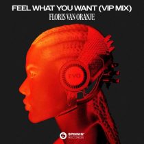 Floris van Oranje – Feel What You Want (VIP Mix)