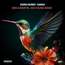 Dario Nunez – Kamui (Dok & Martin, Javi Colina remix)