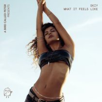 SKIY – What It Feels Like (Extended Mix)