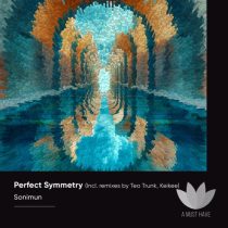Sonimun – Perfect Symmetry