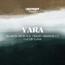 Francis Mercier, Frigid Armadillo, Luedji Luna – Yara