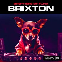 Brothers Of Funk – Brixton