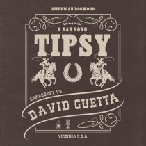 David Guetta, Shaboozey – A Bar Song (Tipsy)