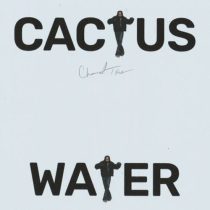 Channel Tres – Cactus Water