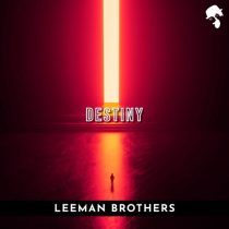 Leeman Brothers – Destiny