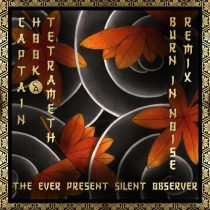 Tetrameth, Captain Hook – The Ever Present Silent Observer (Burn in Noise Remix)