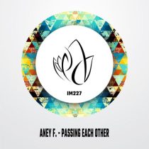 Aney F. – Passing Each Other