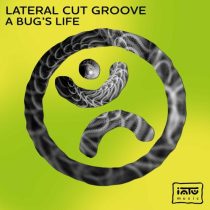 Lateral Cut Groove – A Bug’s Life