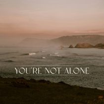 RY X, Punctual – You’re Not Alone – James Carter Remix