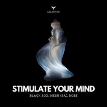 MESH (SA), Black Box (DE), DOBé – Stimulate Your Mind