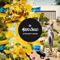 VA – After Party Moods