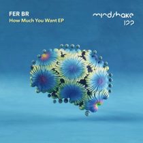 Fer BR – How Much You Want EP