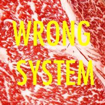 Tronik Youth – Wrong System