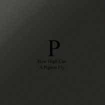 Phara – How High Can A Pigeon Fly