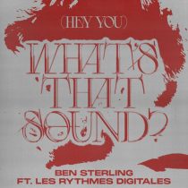 Les Rythmes Digitales, Ben Sterling – (Hey You) What’s That Sound (ft. Les Rythmes Digitales)