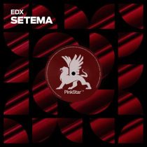 EDX – Setema