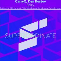 GarryG, Den Kustov – Spicy ( the Remixes )
