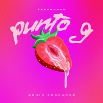 Genio Producer – Punto G