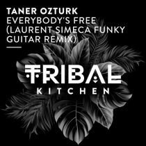 Taner Ozturk – Everybody’s Free (Laurent Simeca Funky Guitar Remix)