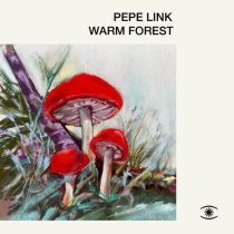 Pepe Link, Marta Santamaria – Warm Forest