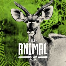 Raja – Animal