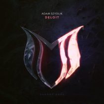 Adam Szydlik – Deloit