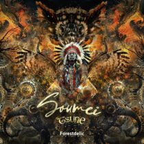 VA – Soumei