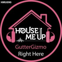 GutterGizmo – Right Here