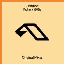 J Ribbon – Palm / 808s