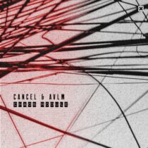 CANCEL, AVLM – Chaos Module