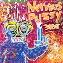 3Beat, MC GW – Nervous Pussy