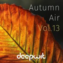 VA – Autumn Air, Vol. 13