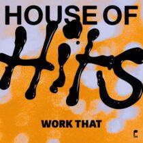 House of Hits – Work That