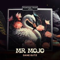 Dane Gutz – Mr Mojo