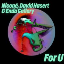 David Hasert, Nicone, Enda Gallery – For U