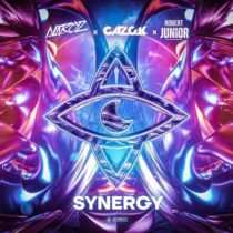 Robert Junior, Narcyz, CAZOK – Synergy