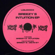 Breezy S – Intuition EP