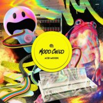 VA – Acid Moods